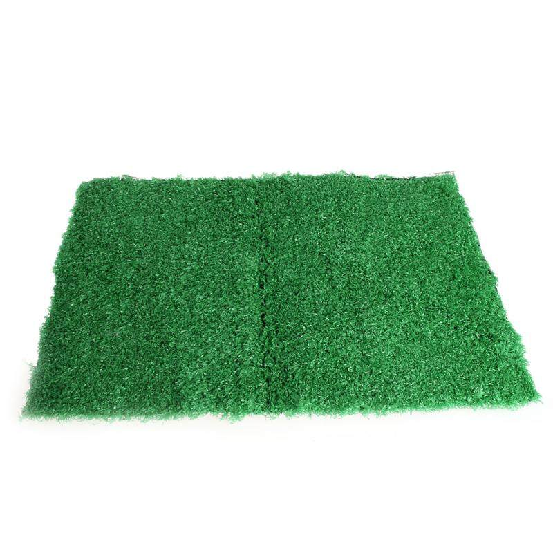 dog training grass