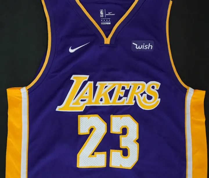 lebron swingman jersey purple