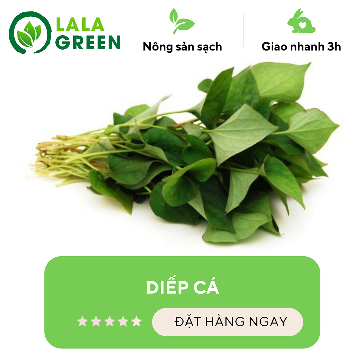 [Chỉ Giao Hcm] Diếp Cá (Vietgap/Sạch) - 1Kg