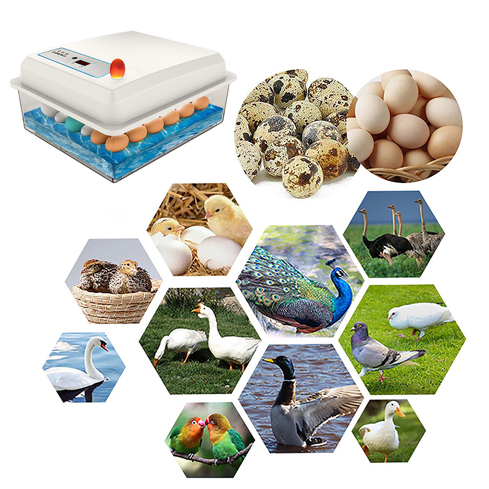 【Ready Stock】Original Aideepen Automatic Temperature Control Incubator Tool Household Foam Bionic Incubator for All Kinds of Poultry Eggs Choose 20 Pieces/22 Pieces/42 Pieces/50 Pieces