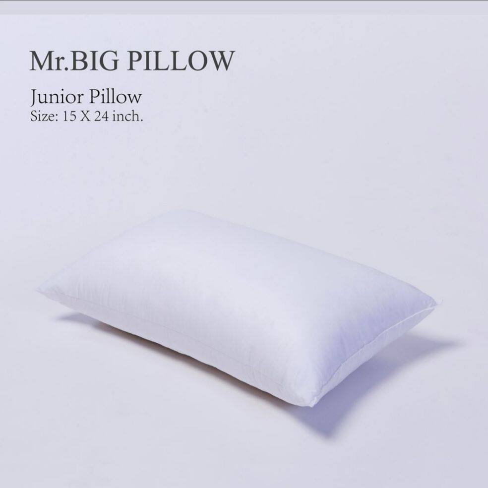 mr big pillow