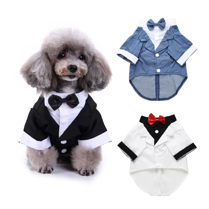 dog shirt and tie