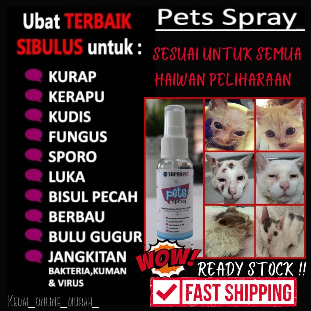 Beli ubat kurap fungus kucing spray Pada Harga Terendah  Lazada 