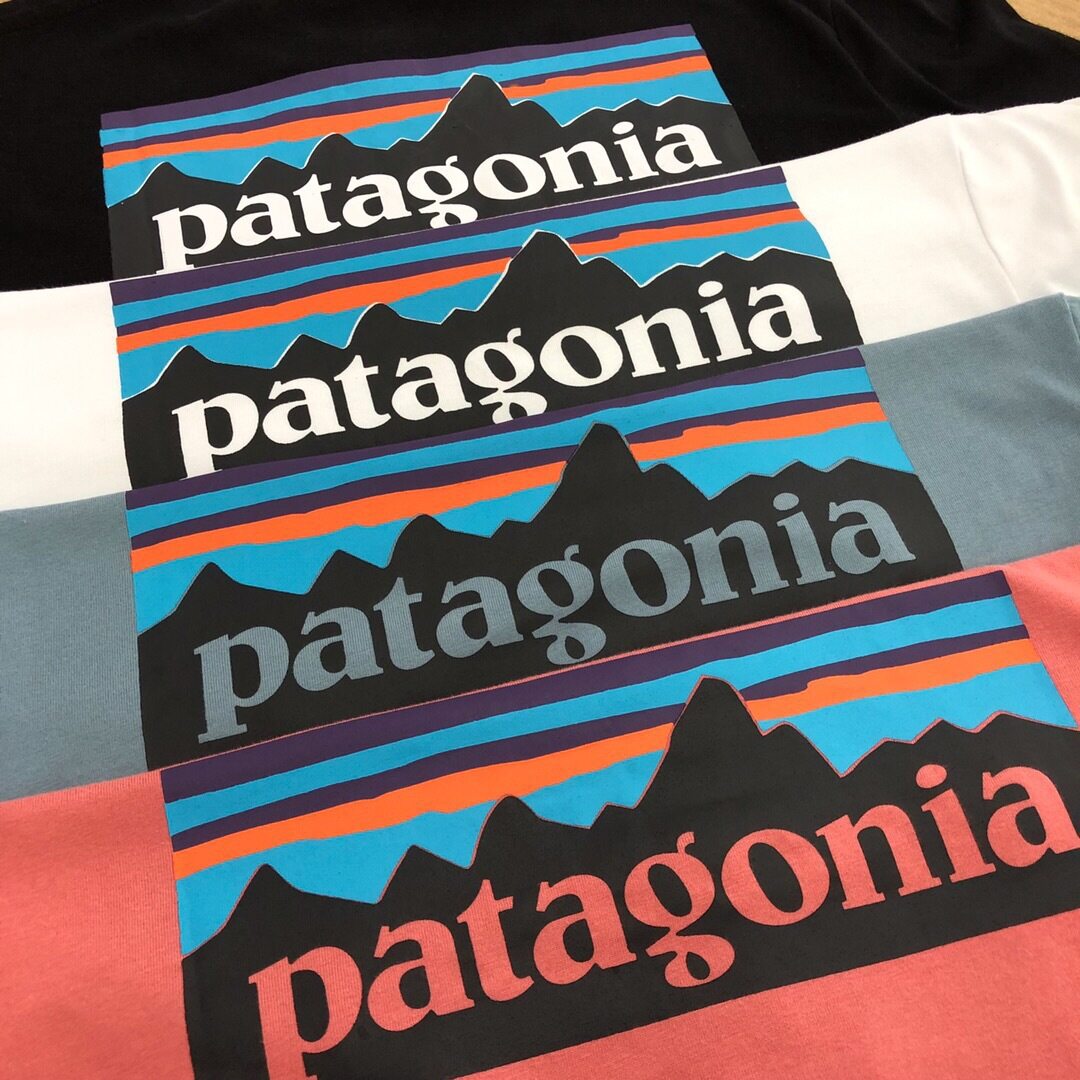 BEAMS X Patagonia Balta P-6 Mountain Print 100 Long-sleeved T Shirt