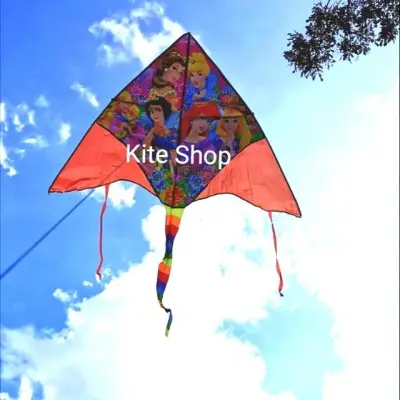 Kite - Princess Kite 1.6m