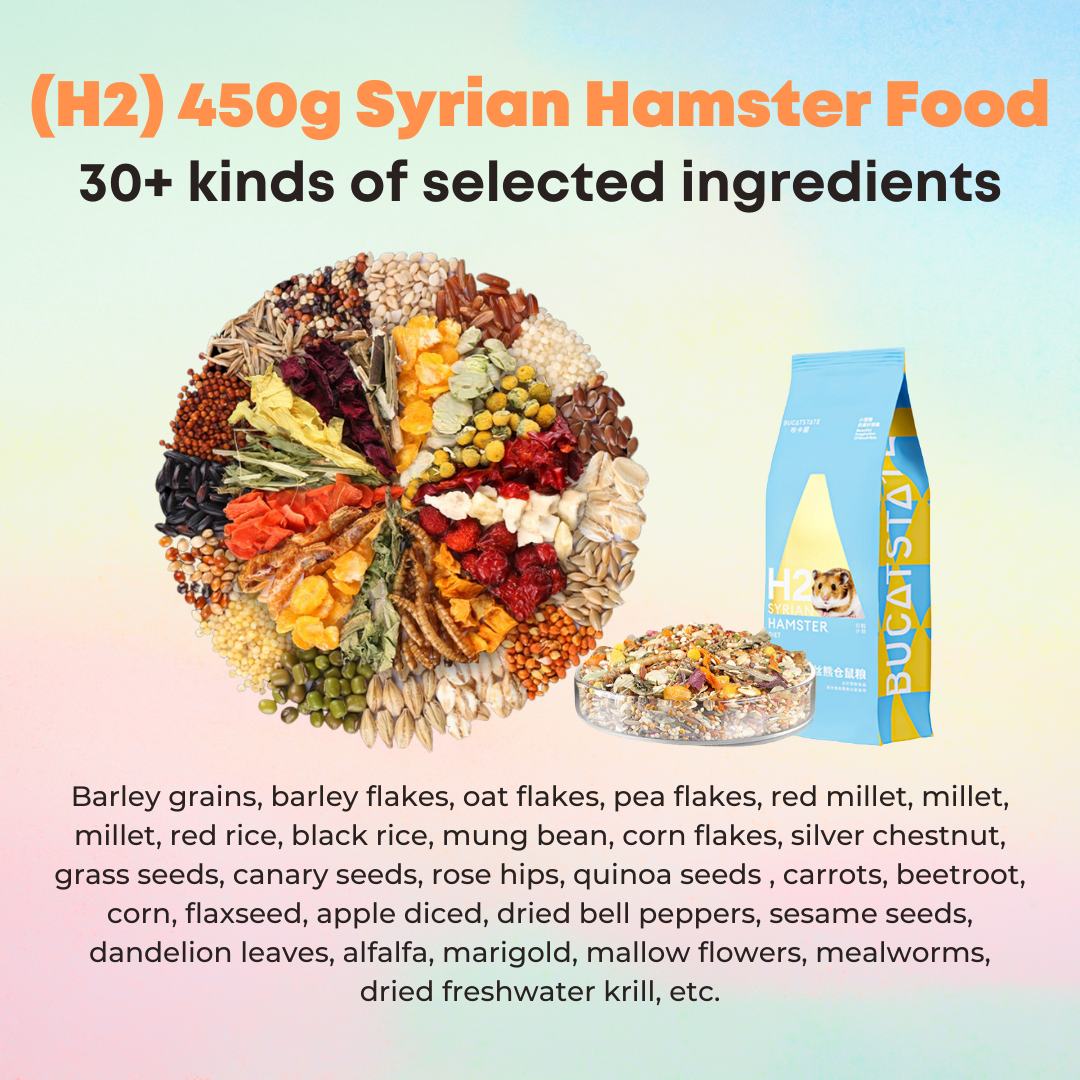 Syrian hamster food clearance list