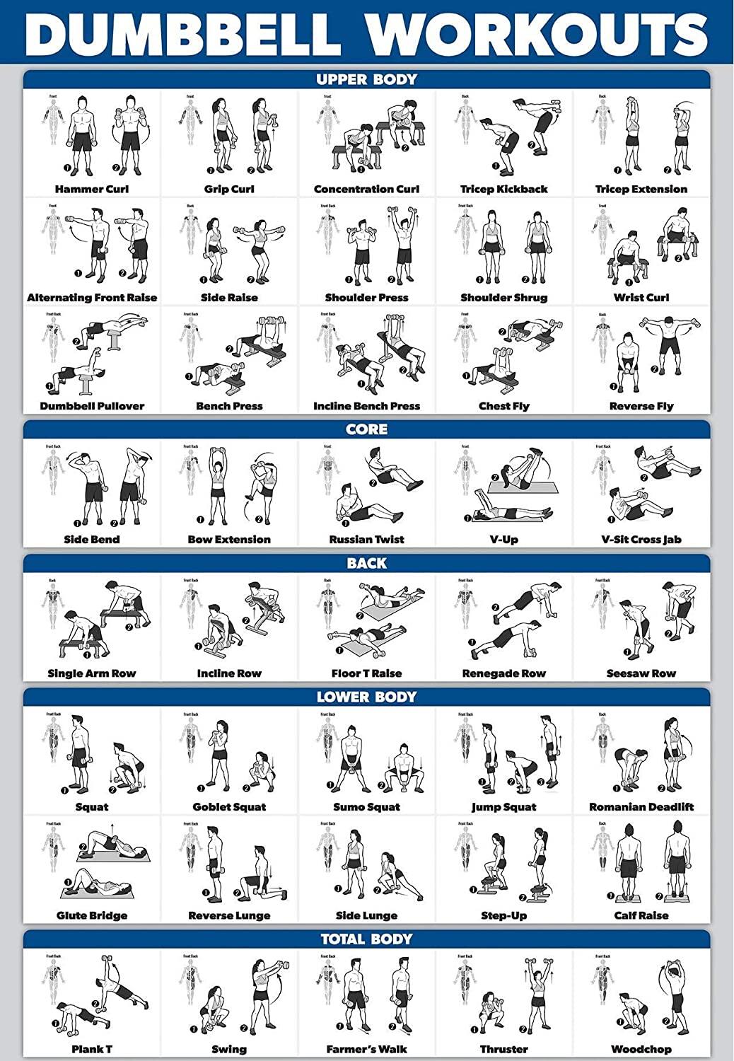 Dumbbell Workout Exercise Poster Laminated Free Weight Body Building