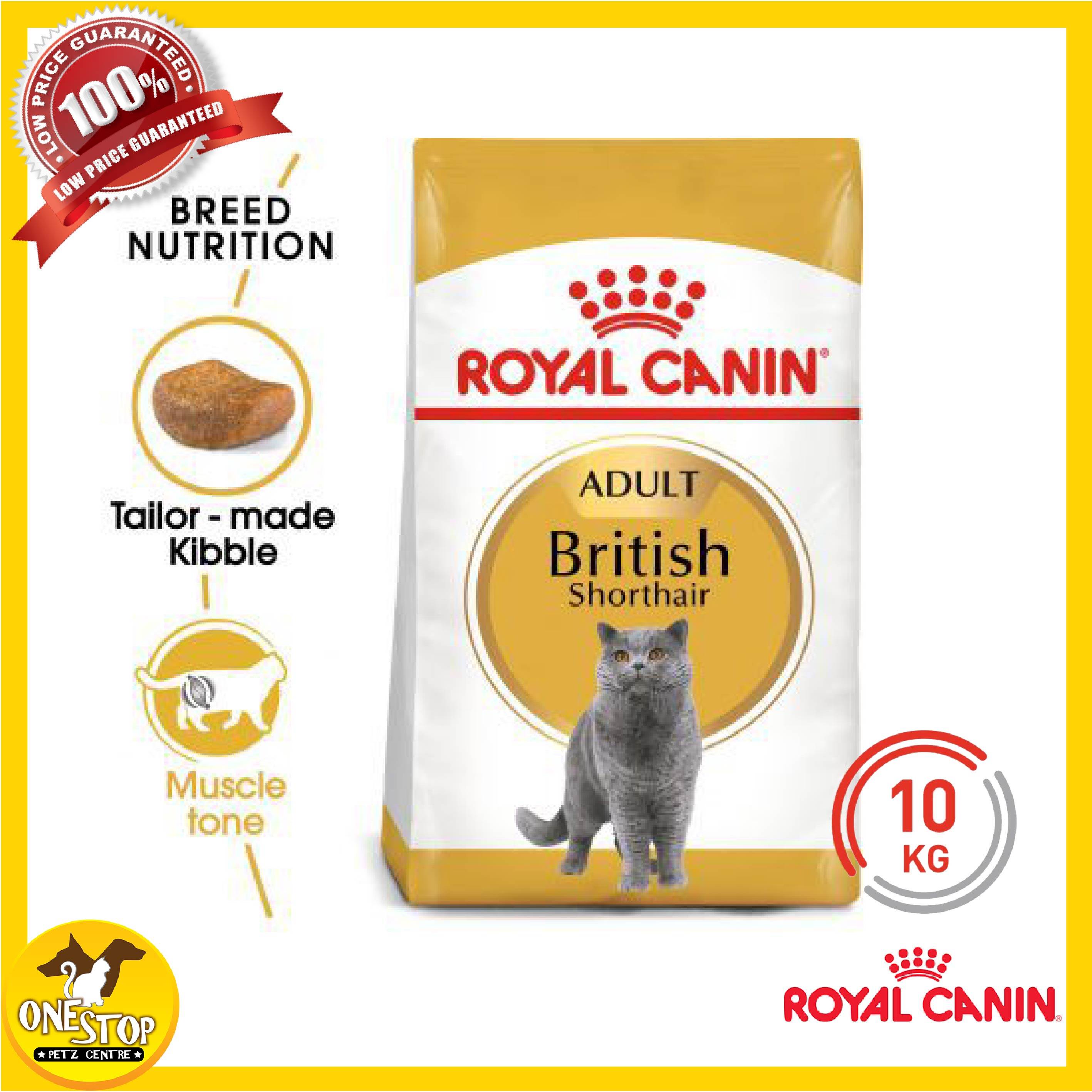 royal canin british kitten