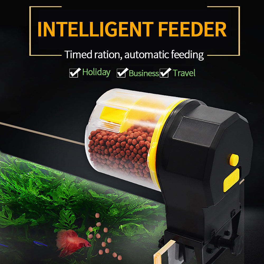 smart feeder for fish