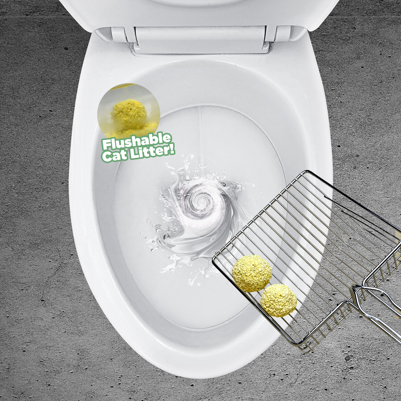 Cat Waste Flushing Kitty Litter Down Toilet Plumbing Can Kitty