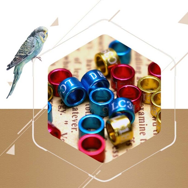50 Pcs Dove Band Cincin Kaki Burung Spesies Mengidentifikasi Cincin Pelatihan Hewan Peliharaan Burung Label Tanda untuk Pigeon Dove Anak ayam Hewan Peliharaan Kecil