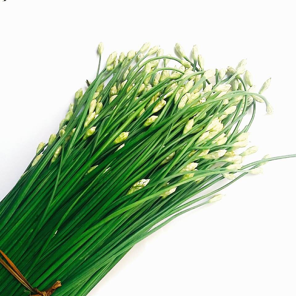 [HCM][Rau Củ Quả] - Gói 1g hạt giống hẹ ăn bông