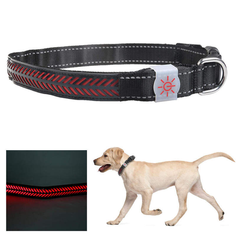 Maelvi LED Pet Đèn Flash Có Thể Điều Chỉnh An Toàn Có Thể Sạc Lại Cổ Áo Sạc USB Cho Mèo Chó Nhỏ Mã M Màu Đỏ