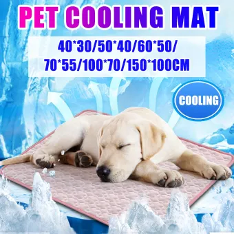 ice pad for dogs