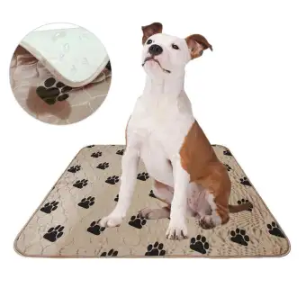 reusable dog pee pads