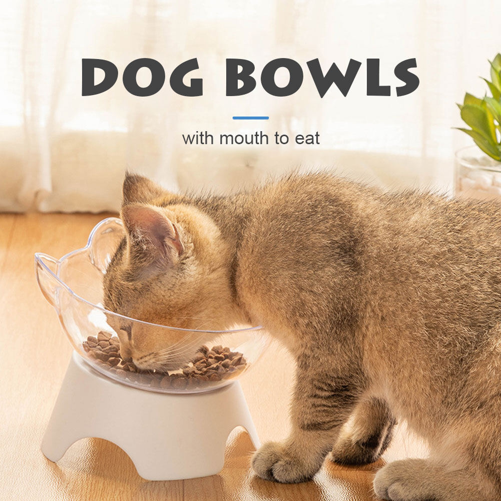 BE TOP  Pet Dog Cats Feeding Bowl Detachable Tilted Feeder Pet Raised Bowl Food Water Feeding Bowl With Elevated Stand