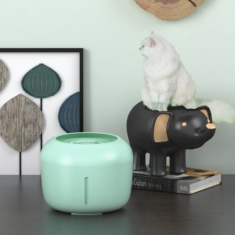 Đồ Dùng Cho Chó Và Mèo Dễ Thương
Máy Rót Nước Cho Mèo Birch, Lưới Lọc Nước Tự Động Cho Chó Mèo Con Lưu Thông Im Lặng