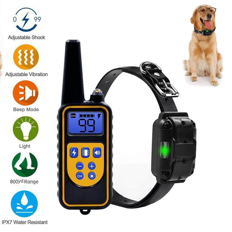 dog leash training collars