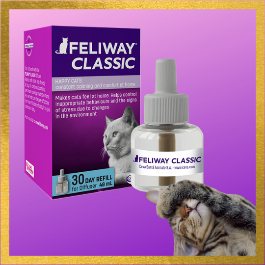 alat feliway diffuser