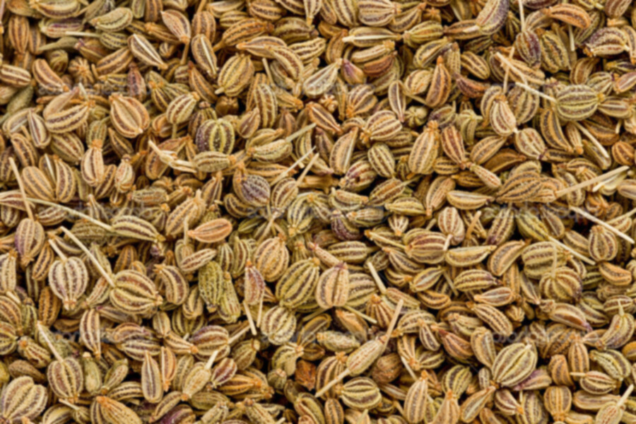 Enrico S Surabi Omam Ajwain Seed Jemuju 500g Lazada