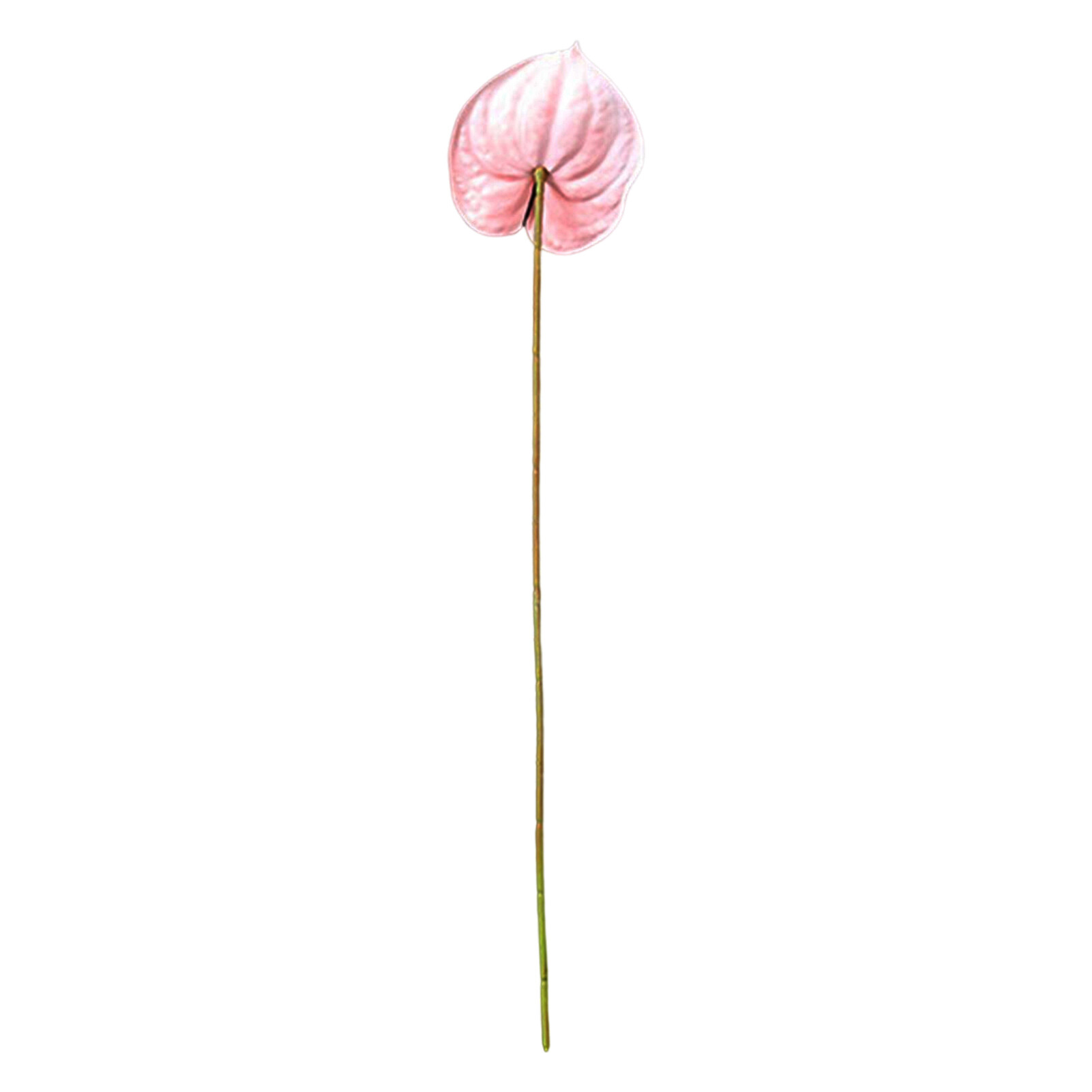 Licao Lighting False Anthurium Easy Care Non-fading No Watering Photography Props Single Branch Home Green Plant Decoration for Living Room False Anthurium Non-fading