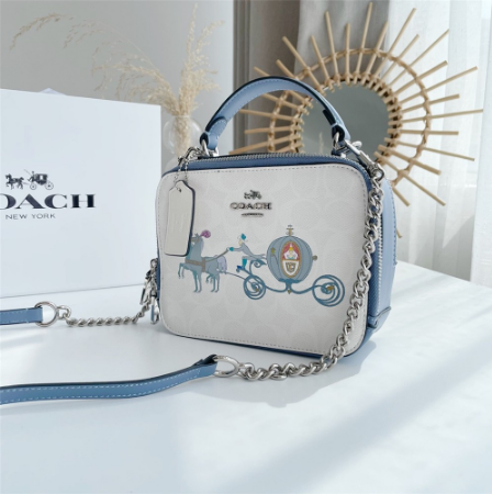 Coach Outlet Coach C1434 Co@ch C1426 C1434 C3148 C2872 Disney Box