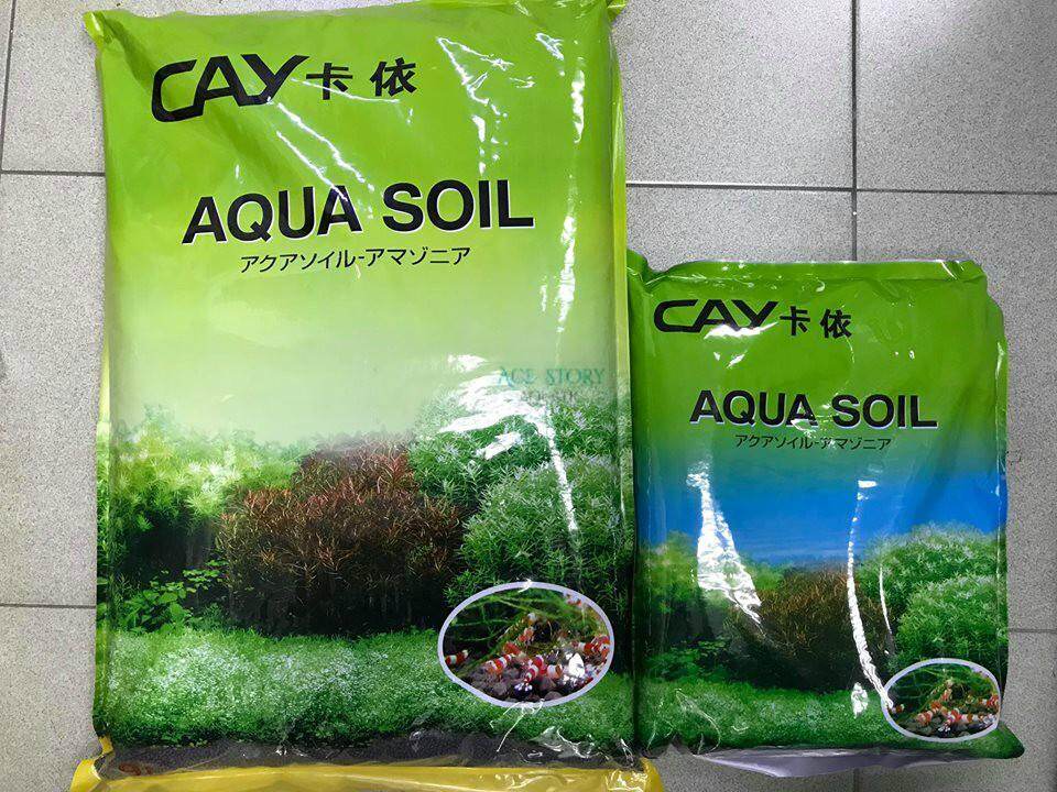 automatic catfish feeder