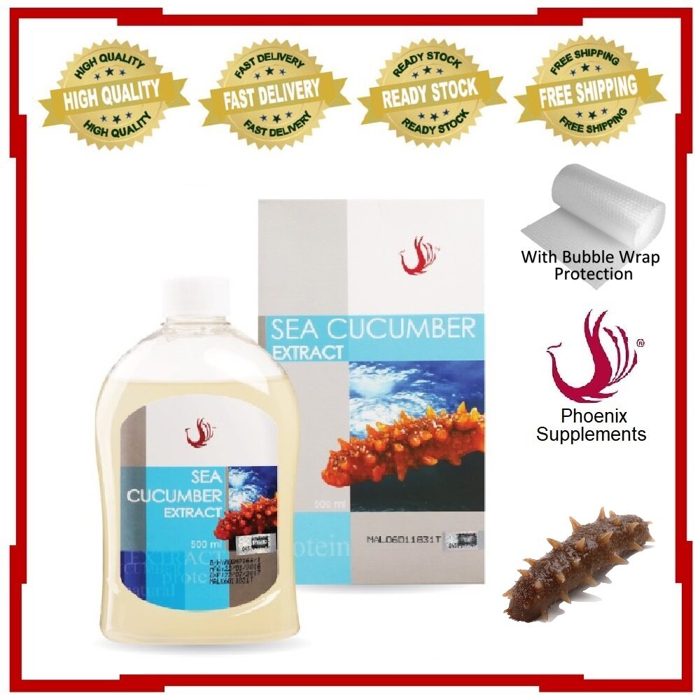 PHOENIX Sea Cucumber Gamat Extract 500ml x 1 Bottle Lazada