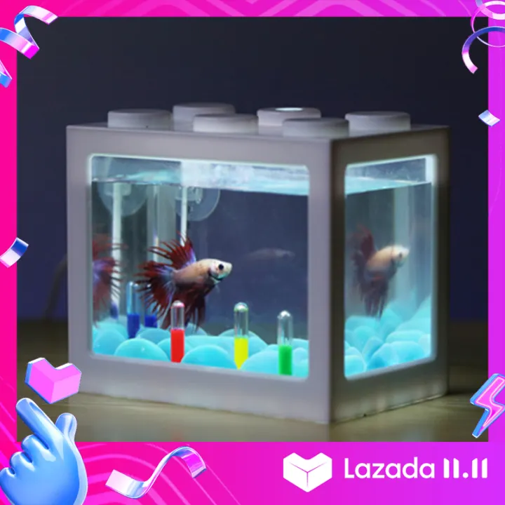 aquarium mini lazada