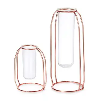 Vases Set Of 2 Metal Flower Vase Glass Vase Planter Terrariums