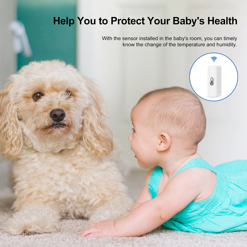 EL style Wifi Temperature Humidity Sensor Detector Wifi Tuya Smart Temperature and Humidity Sensor with Buzzer Alarm Nov