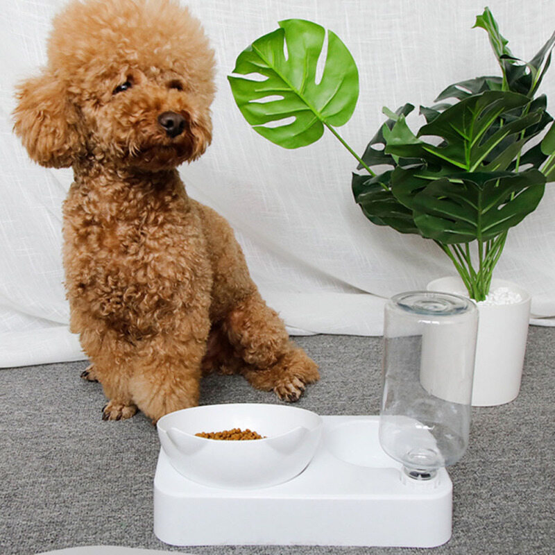 Pet Automatic Water Dispenser 15 Degree Tilted Double Feeding Bowls Cat Dog Neck Guard Water Fountain Drinking Supplies