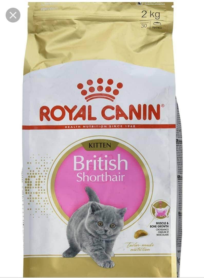 Royal Canin British Shorthair Kitten 2kg | Lazada