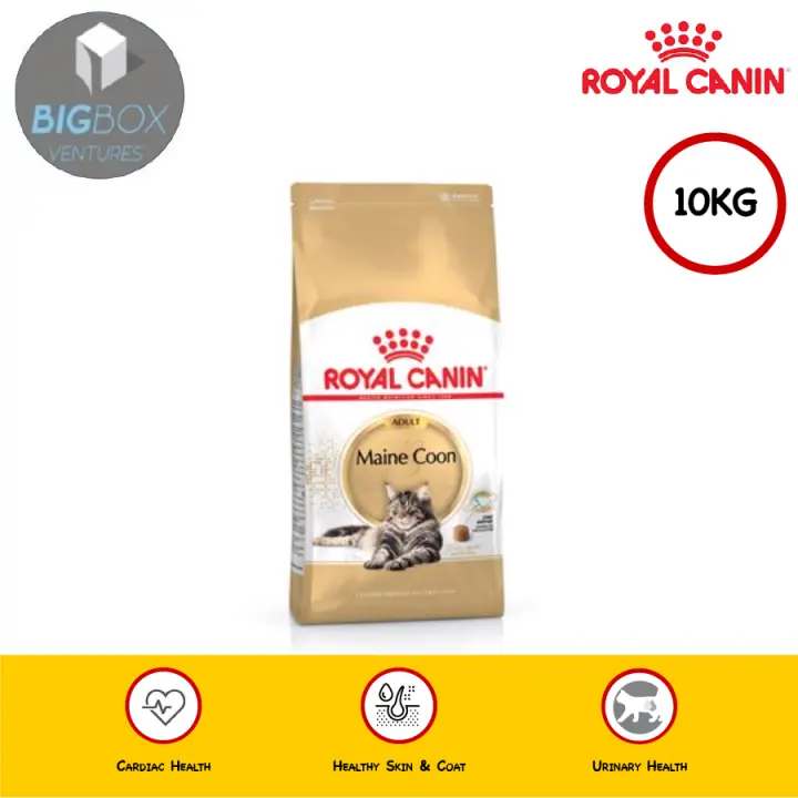 royal canin maine coon 10kg