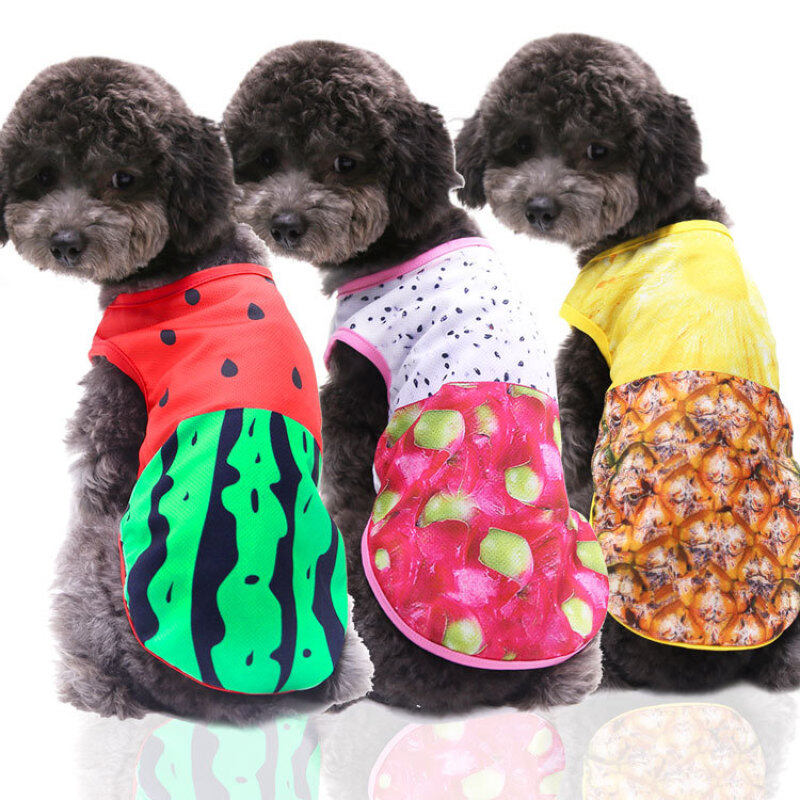DY Loving Summer Dog Quần Áo Trái Cây Dứa Pitaya Dâu Cosplay Dễ Thương