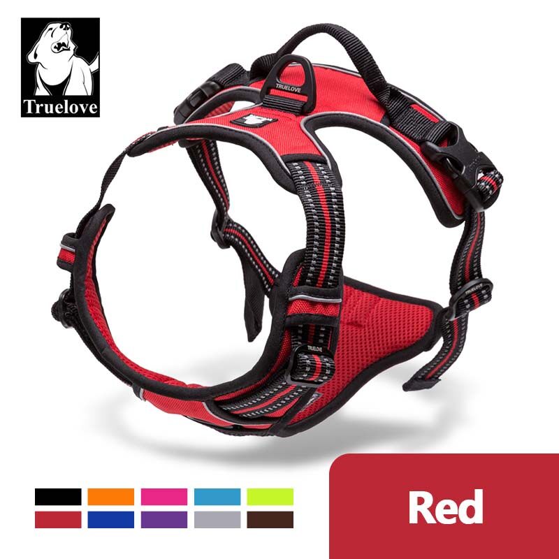 red small dog harness