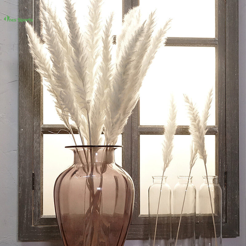 15 Chiếc Papas Cỏ Nhỏ Khô Phragmites Communis Trang Trí Cho Cửa Hàng Nhà Đám Cưới