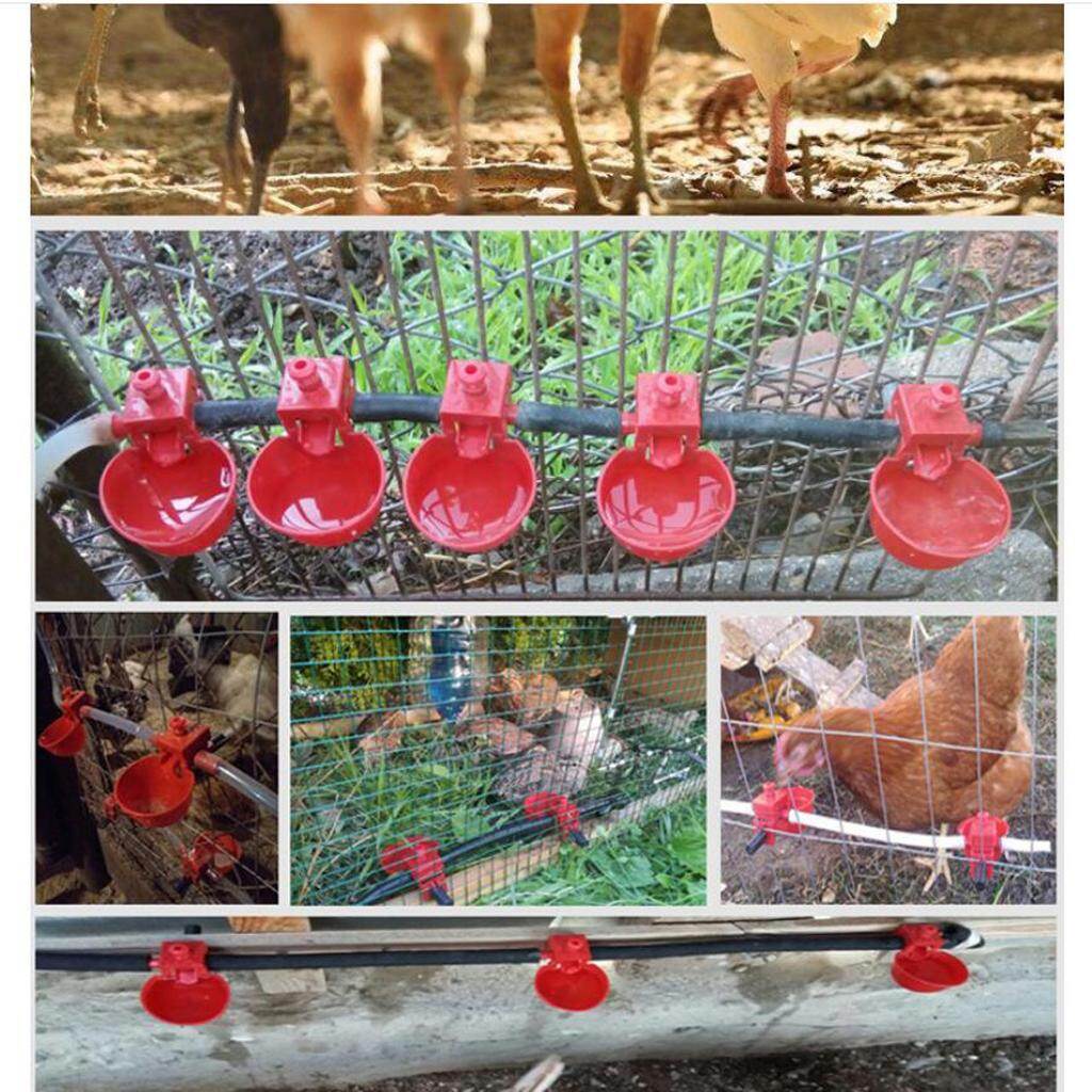 Aayang 10 Pack Poultry Water Drinking Cups- Plastic Chicken Hen Automatic Drinker