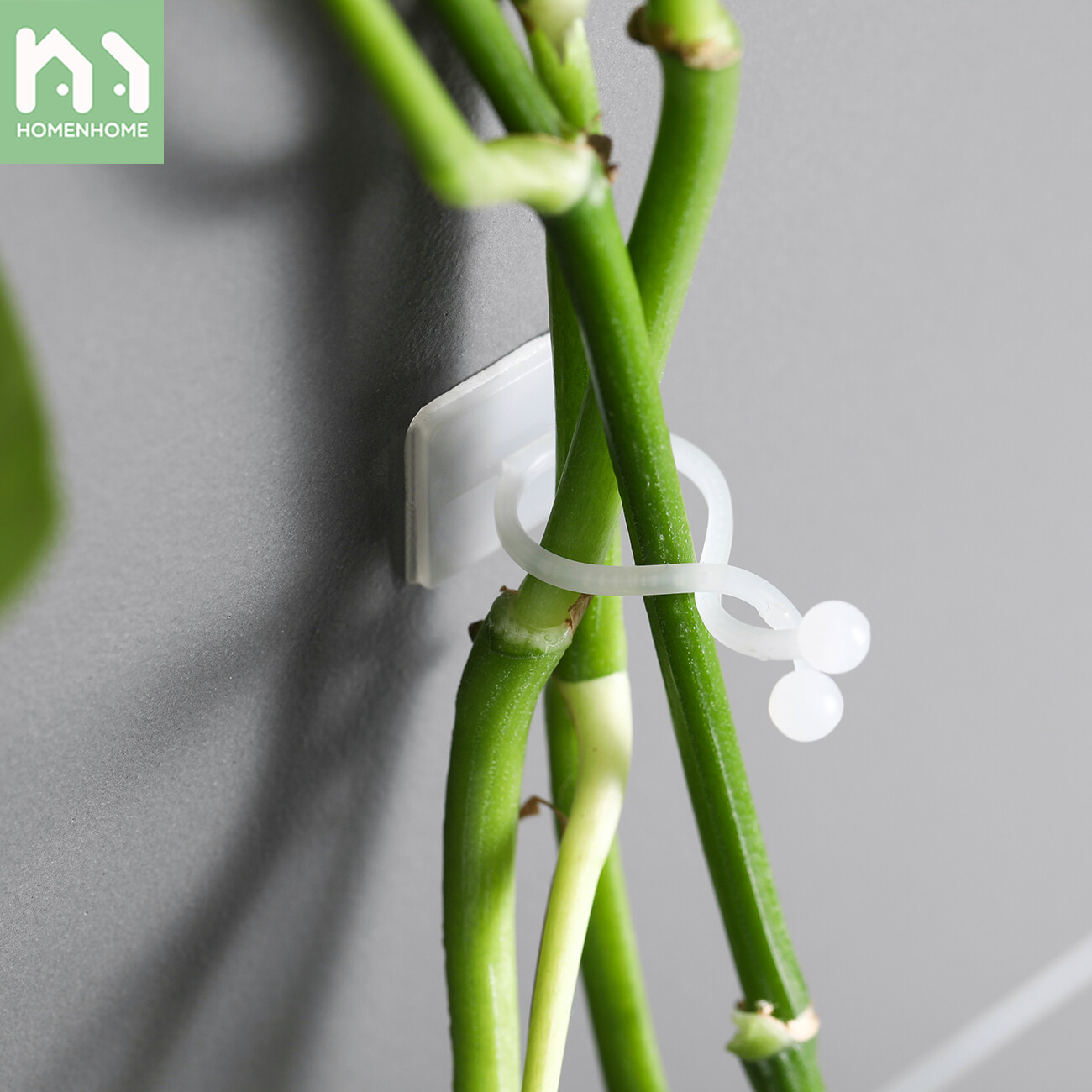 Homenhome 10pcs Green Plant Fixer Wall Hanging Hook Seamless Climbing Rattan Fixator