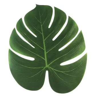 800+ Gambar Daun Tropis HD Terbaru 800+ Gambar Daun Tropis HD Terbaru