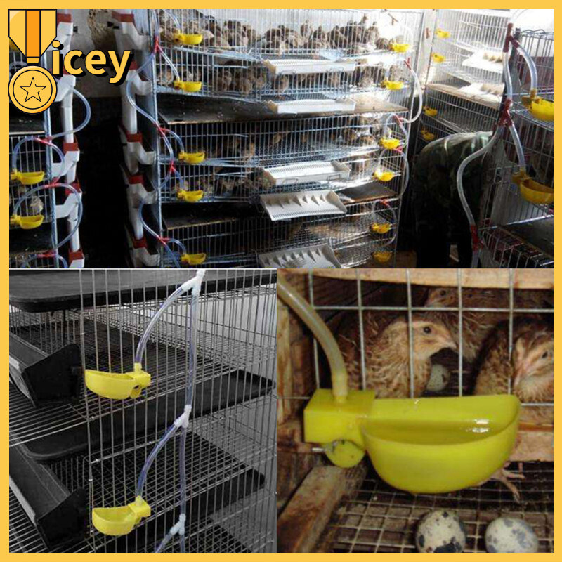 【Multiple Offers】iceyhome Store Automatic Birds Quail Drinking Bowl Convenient Pigeons Chickens Feeding Cup Practical Drinker Cage Accessories Pets Supplies