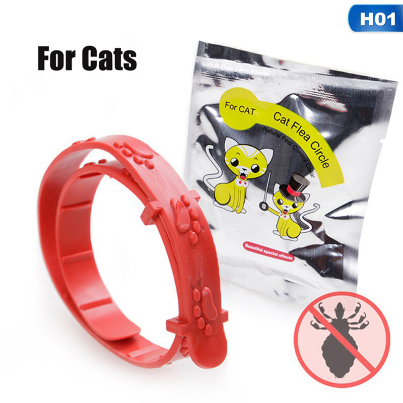 4 cái cổ áo bọ chét thú cưng