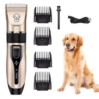 buy dog grooming kit