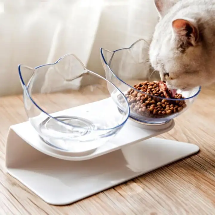 cat food dish