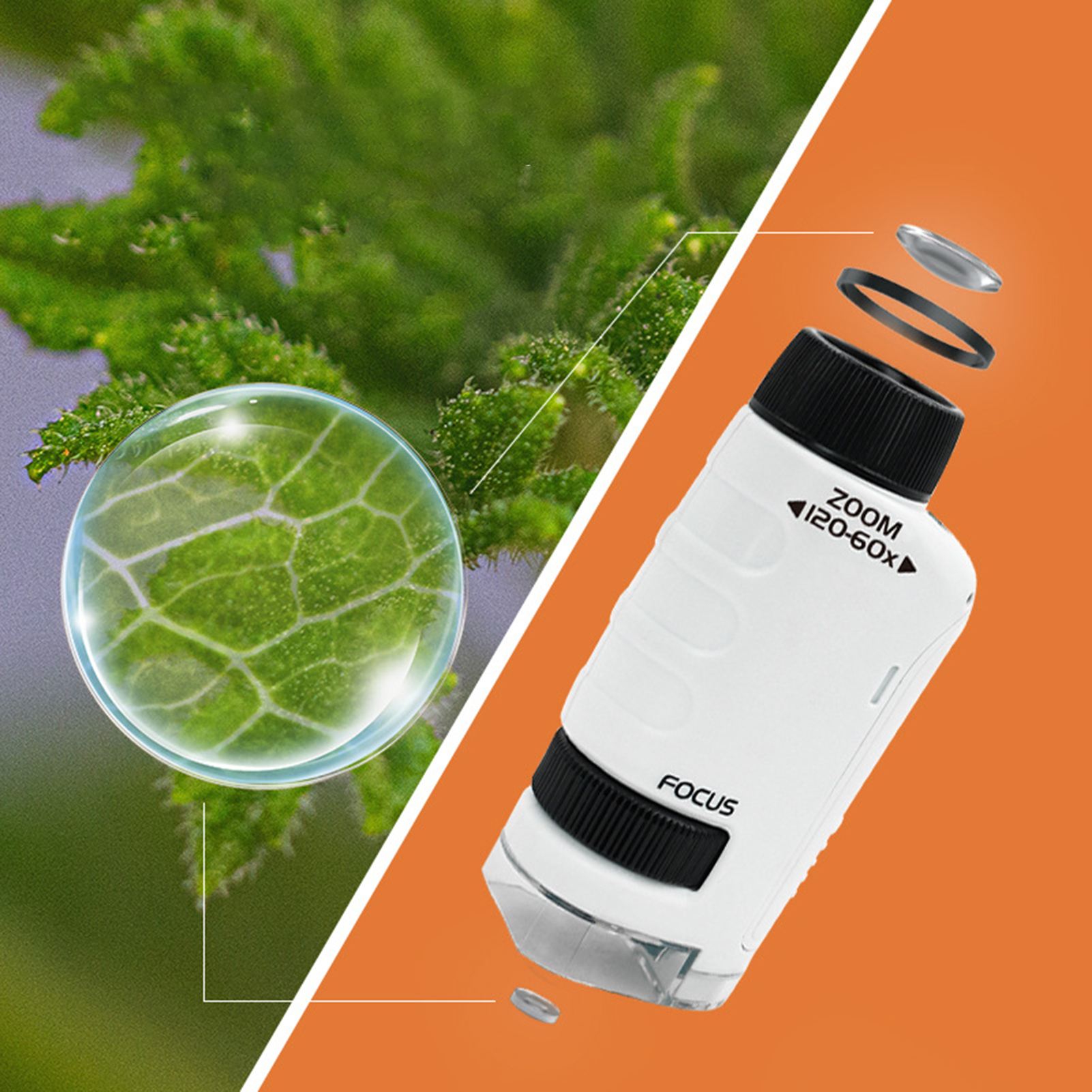 HZY 60-120X Student Microscope Protect Eyesight Practical Ability Nature-Watching Adjustable Focusing Mini Pocket Microscope Toy Daily Use