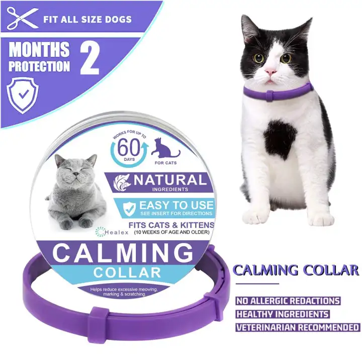 natural calming for cats