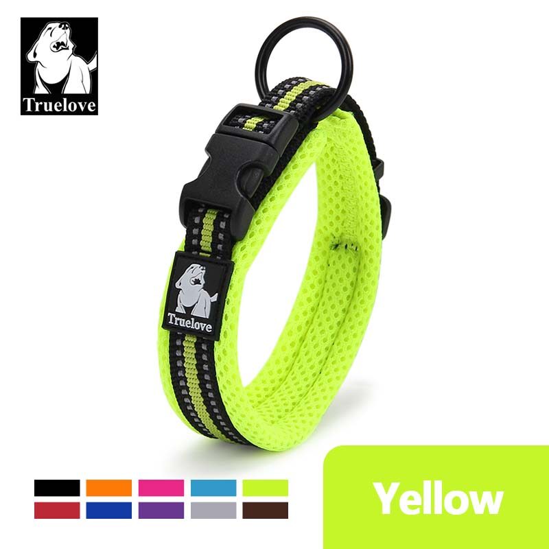 outdoor dog collars