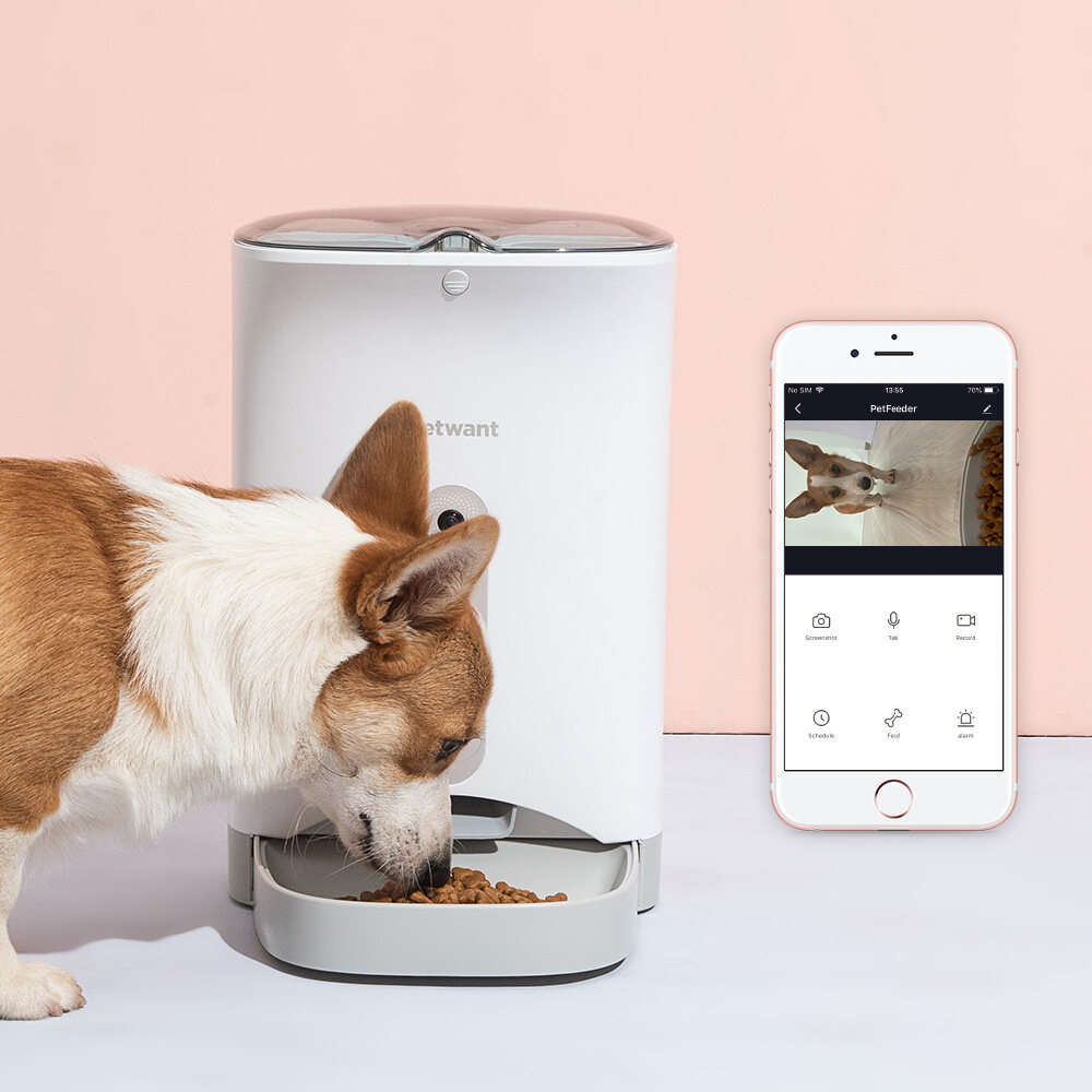 petware automatic pet feeder