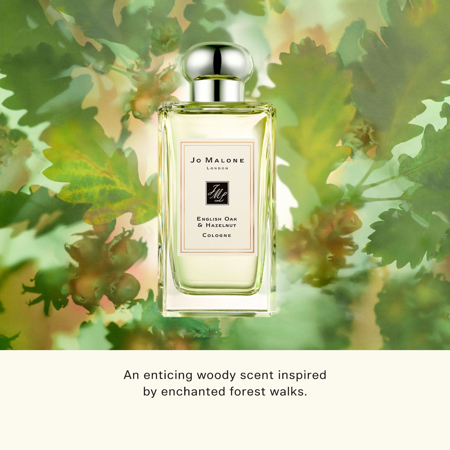  6 6 exclusive jo malone london cologne 100ml best seller english