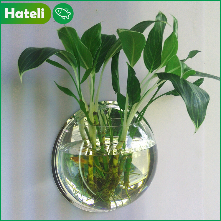 【HATELI】Aquarium Tanks Wall Hanging Fish Tank Wall Hanging Vase Flower Pot Plexiglass Acrylic Creative Wall Gold Fish Tank